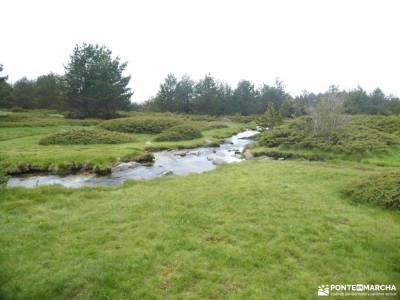 Senderos con historia: De la Pradera de Navalhorno al Chozo Arangüez: solana de ávila mapa y brujula